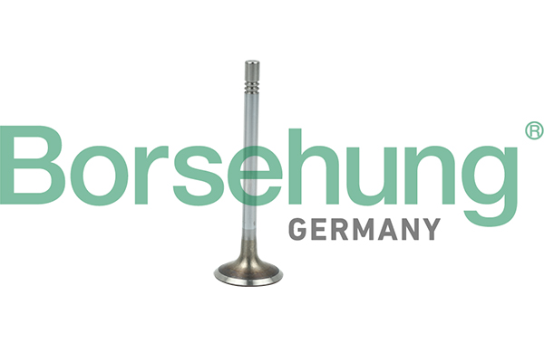 BORSEHUNG Indsugningsventil b19021 for VW