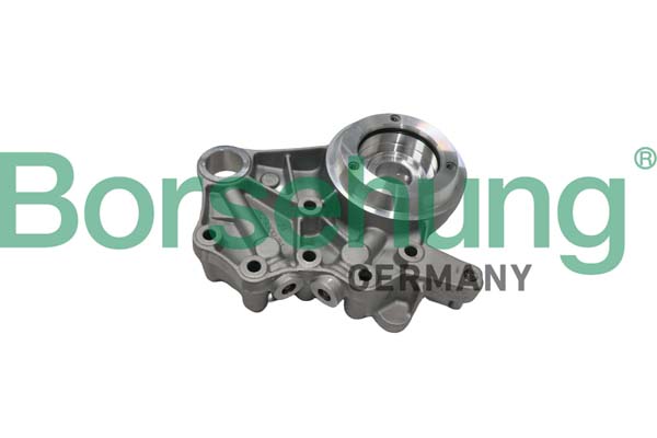 BORSEHUNG Knastaksellejer b19307 for VW
