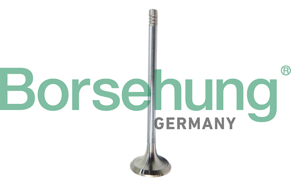BORSEHUNG Udstødningsventil b10321 for VW
