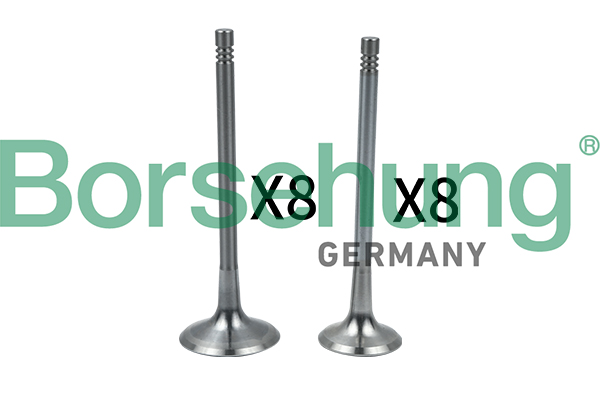 BORSEHUNG Indsugningsventil b18634 for VW