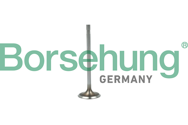 BORSEHUNG Indsugningsventil b19015 for VW