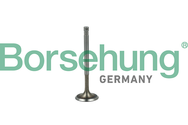 BORSEHUNG Indsugningsventil b19019 for VW