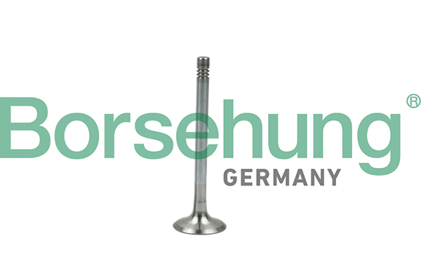 BORSEHUNG Udstødningsventil b19005 for VW