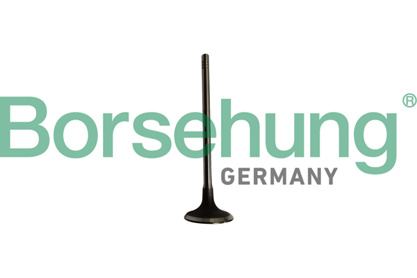 BORSEHUNG Indsugningsventil b10334 for BMW