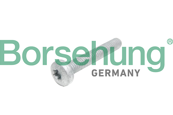 BORSEHUNG topstykkebolt b10645 for VW