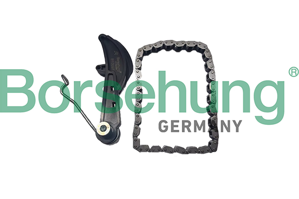 BORSEHUNG Kædesæt, oliepumpetræk B10251 for VW