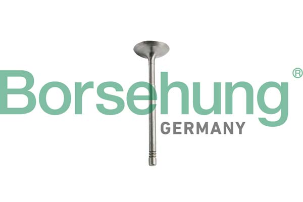 BORSEHUNG Indsugningsventil b10351 for MERCEDES-BENZ