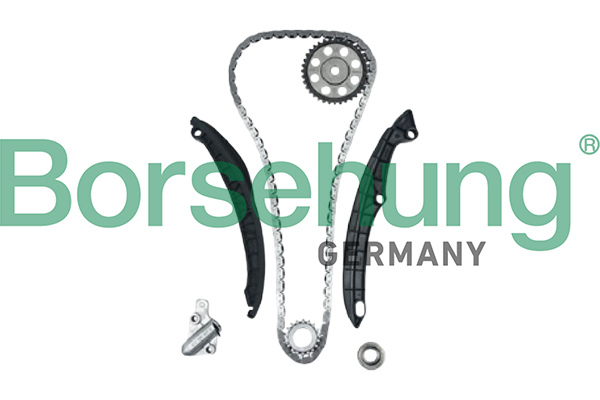 BORSEHUNG Styrekædesæt B12879 for VW SKODA SEAT