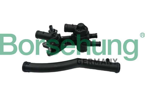 BORSEHUNG Termostat, kølemiddel b19087 for VW