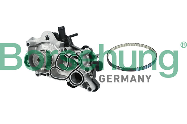 BORSEHUNG Vandpumpe B11207 for VAG