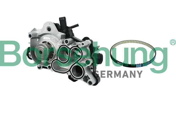 BORSEHUNG Vandpumpe B11208 for VAG