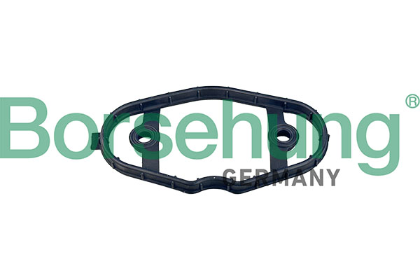 BORSEHUNG b12973 for BMW