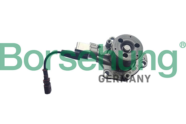 BORSEHUNG Vandpumpe B11224 for VAG