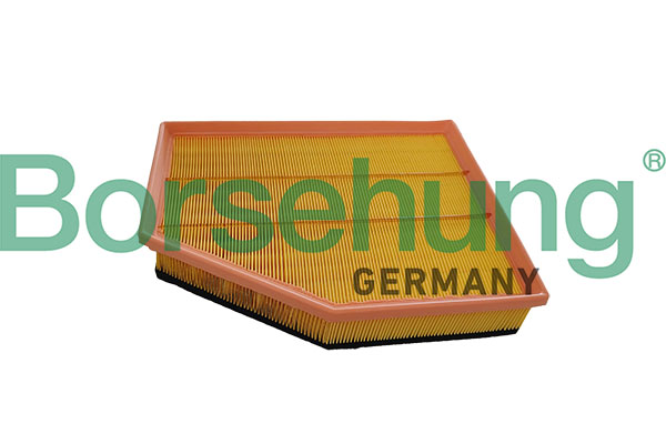 BORSEHUNG b13061 for BMW