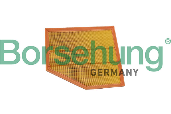 BORSEHUNG b13063 for BMW