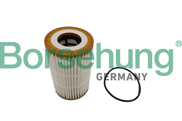 BORSEHUNG Oliefilter B10448 Filterindsats for AUDI