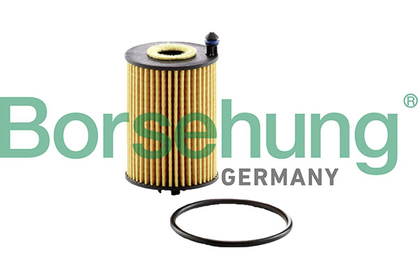 BORSEHUNG Oliefilter B13200 Filterindsats for AUDI