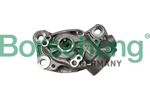 BORSEHUNG B13219 for VW