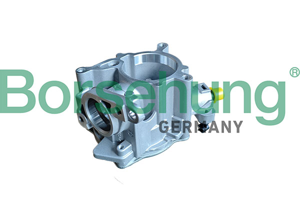 BORSEHUNG Vakuumpumpe, bremsesystem B13030 for VW