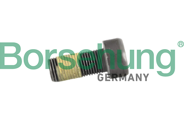 BORSEHUNG Svinghjulsskrue b12950 for AUDI SKODA