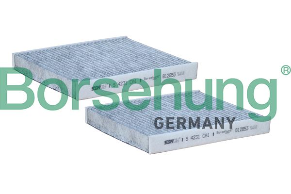 BORSEHUNG B12853 for BMW
