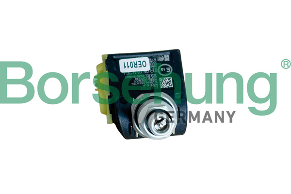 BORSEHUNG b13002 for BMW