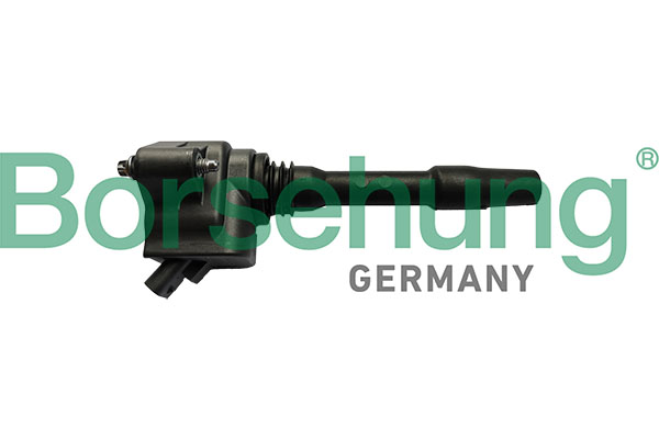 BORSEHUNG b10696 for BMW