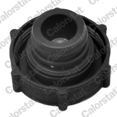 CALORSTAT BY VERNET Låg, kølemiddelbeholder rc0009 for FORD MERCURY MAZDA
