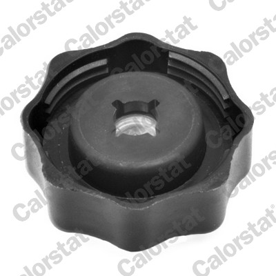 CALORSTAT BY VERNET Låg, kølemiddelbeholder rc0010 for BMW FORD HONDA LAND ROVER ROVER