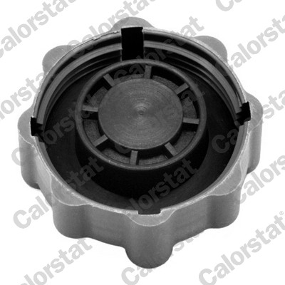 CALORSTAT BY VERNET Låg, kølemiddelbeholder rc0025 for SKODA