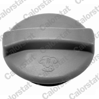 CALORSTAT BY VERNET et0001c1 for VW