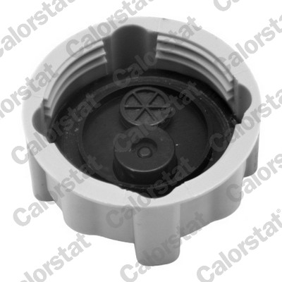 CALORSTAT BY VERNET Låg, kølemiddelbeholder RC0038 for ALFA ROMEO FIAT / LANCIA CITROËN