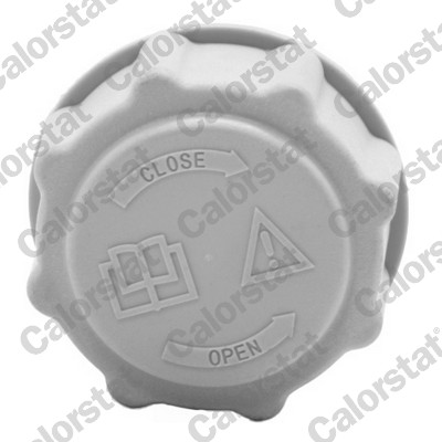 CALORSTAT BY VERNET Låg, kølemiddelbeholder rc0039 for FORD OPEL SAAB VAUXHALL DAEWOO PONTIAC MAZDA