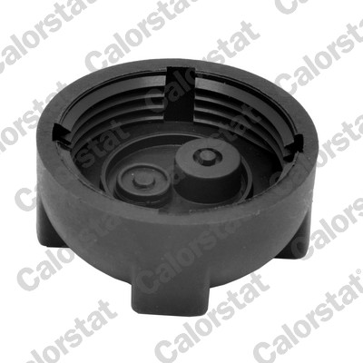 CALORSTAT BY VERNET Låg, kølemiddelbeholder rc0172 for SMART