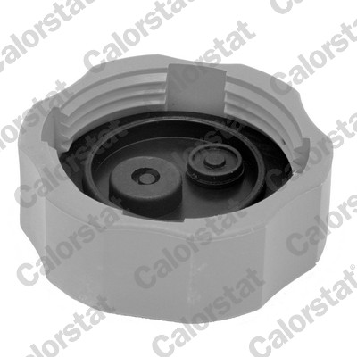 CALORSTAT BY VERNET Låg, kølemiddelbeholder rc0190 for OPEL DAEWOO