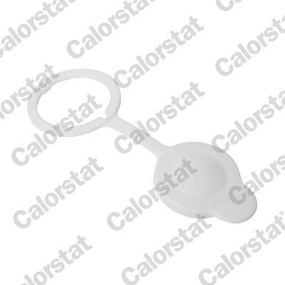 CALORSTAT BY VERNET Låg, kølemiddelbeholder rc0206 for MITSUBISHI