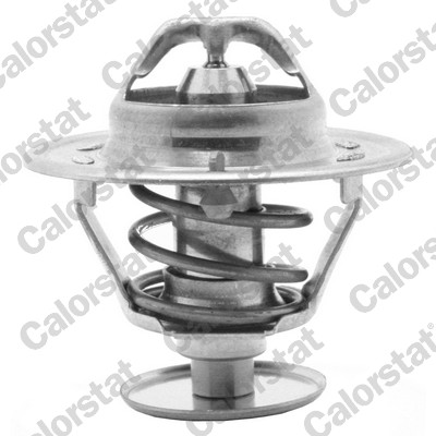 CALORSTAT BY VERNET Termostat, kølemiddel TH1419.88J for SAAB NISSAN LAND ROVER MAZDA