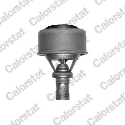 CALORSTAT BY VERNET Termostat, kølemiddel TH4495.86 for FORD RENAULT