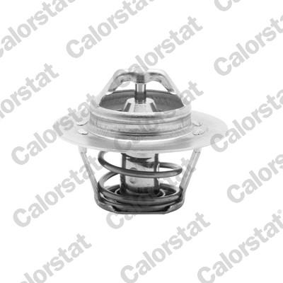 CALORSTAT BY VERNET Termostat, kølemiddel TH5955.88J for LAND ROVER ROVER