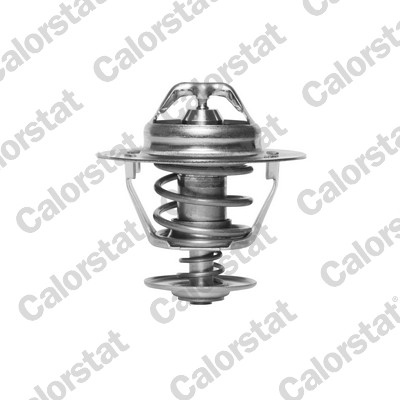 CALORSTAT BY VERNET Termostat, kølemiddel TH6319.82J for FORD MAZDA NISSAN