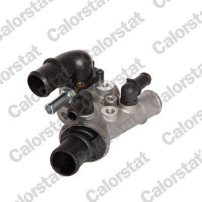 CALORSTAT BY VERNET Termostat, kølemiddel TH6829.80J for FIAT / LANCIA