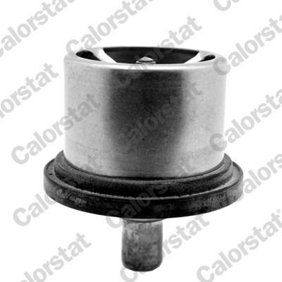 CALORSTAT BY VERNET Termostat, kølemiddel THS19094.80 for DAF FIAT / LANCIA RENAULT TRUCKS BMW MAN MERCEDES-BENZ