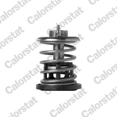 CALORSTAT BY VERNET Termostat, kølemiddel TH7382.88 for BMW