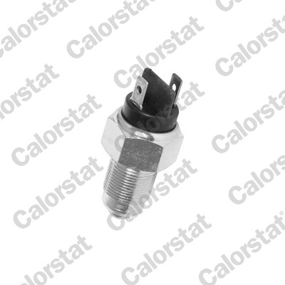 CALORSTAT BY VERNET Kontakt, baklygte rs5509 for ROVER OPEL VAUXHALL CHRYSLER RENAULT DACIA