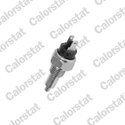 CALORSTAT BY VERNET Kontakt, baklygte rs5503 for PEUGEOT VOLVO TALBOT RENAULT