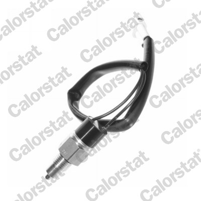 CALORSTAT BY VERNET Kontakt, baklygte rs5555 for VAUXHALL SUZUKI SUBARU