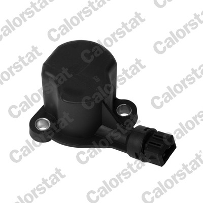 CALORSTAT BY VERNET Kontakt, baklygte rs5558 for VW
