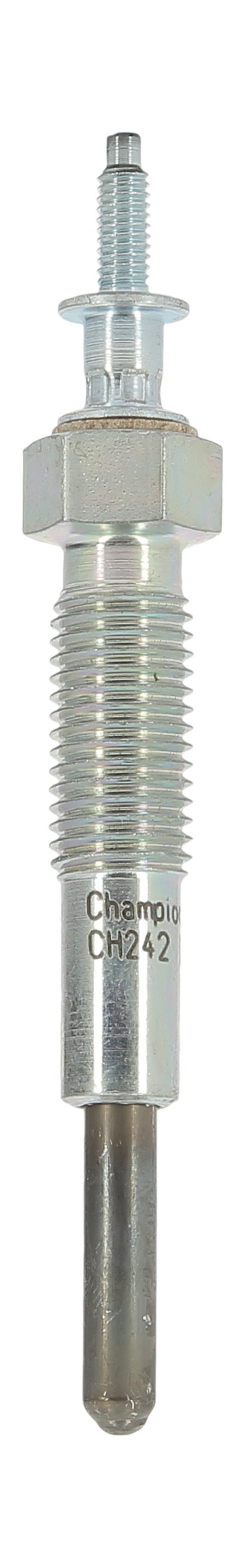 CHAMPION Gløderør ch242 for FORD MAZDA SUZUKI KIA HYUNDAI NISSAN MAN MITSUBISHI