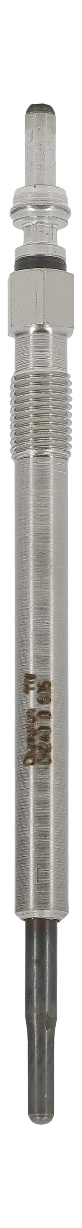CHAMPION Gløderør ch240 for PEUGEOT CITROËN LAND ROVER VOLVO JAGUAR FORD