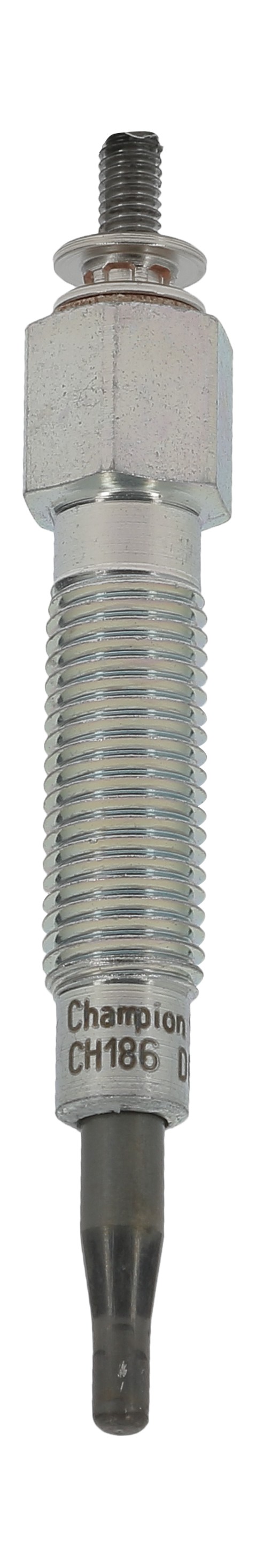 CHAMPION Gløderør ch186 for FORD NISSAN
